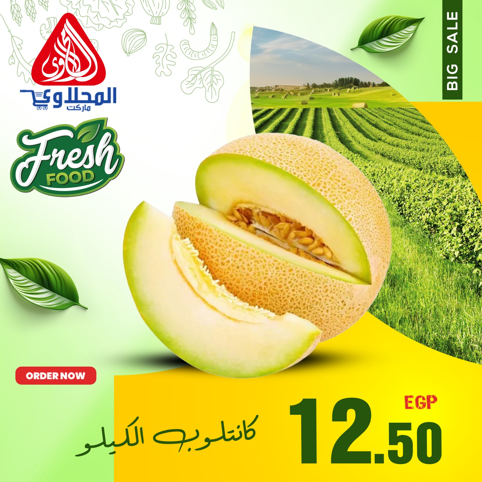 el-mahallawy offers from 9apr to 12apr 2025 عروض المحلاوي من 9 إبريل حتى 12 إبريل 2025 صفحة رقم 17